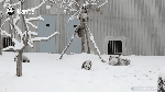 【每日一滚】当熊孩子遇上雪!一起来一场雪地撒欢儿
